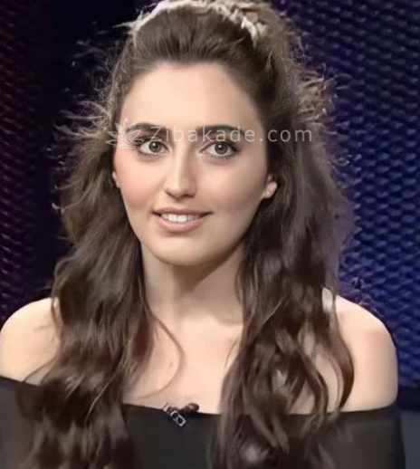 رنگ مو، آموزش ترکیب رنگ مو